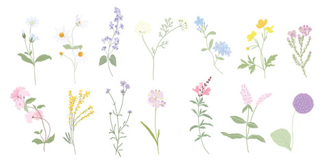 Wall Mural - Hand drawn wild floral arrangements with small flower. Botanical illustration minimal style.