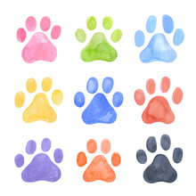 Dog Paw Prints Set. Black, Blue And Red Puppy Or Cat Paw Track.