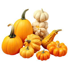 Canvas Print - Various ripe pumpkins on transparent background used for Halloween or Thanksgiving