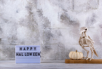 Wall Mural - Elegant Halloween with white pumpkin