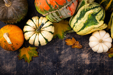 Wall Mural - Autumn fall background with pumpkins