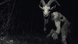 Goatman is a creature resembling a goat-human hybrid 