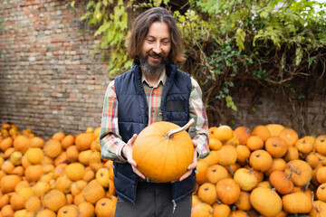 Poster - Bearded farmer with pumpkin on a background of a pile of pumpkins