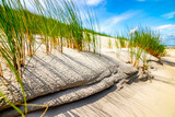 Fototapeta Pomosty - Plaża, morze, krajobraz, roślinność