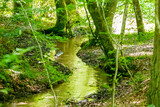 Fototapeta Pomosty - rzeka, strumień