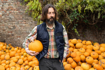 Poster - Bearded farmer with pumpkin on a background of a pile of pumpkins