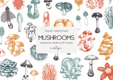 Forest Mushrooms Background. Edible Mushrooms Banner. Fungi, Healthy Food, Vegan Product Sketches. Autumn Hand-drawn Vector Illustration. Engraved Design Template, Card, Print, Packaging