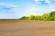 © Olegarx525 - Photography on theme big empty farm field for organic harvest