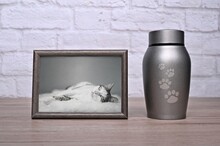 Decorative Urn , Next To A Photograph Of The Pet On The Table. Horizontal Image.
