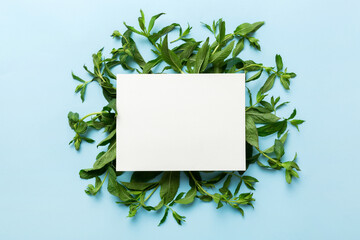 Wall Mural - Wreath frame made of empty paper blank with space for text and mint leaves on colored background. . Mint Pattern. Flat lay. Top view