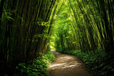 Fototapeta Sypialnia - Beautiful bamboo forest at Arashiyama, Kyoto, Japan