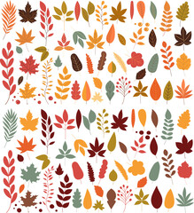Wall Mural - set of autumn tree leaves in flat style vector