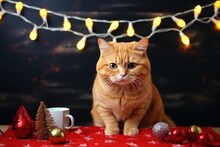 Ginger Cat Writes A Letter To Santa Claus On The Table
