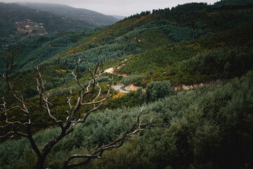 Poster - A winding road on a green slope in the foothills of Serra da Estrela, Portugal.