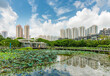 High rise residential building  and natural landmark the Hong Kong Wetland Park