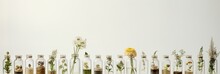 Herbal Apothecary Aesthetic. Jars With Dry Herbs And Flowers On A Beige Background. With Generative AI Technology