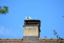 Two White Doves Sit On A Chimney On The Roof