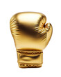 gold boxing glove