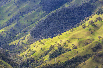 Canvas Print - Cocora