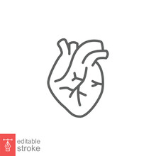 Human Heart Icon. Simple Outline Style. Internal Organ, Real, Cardiology, Cardiac Anatomy, Medical Concept. Thin Line Symbol. Vector Illustration Isolated On White Background. Editable Stroke EPS 10.