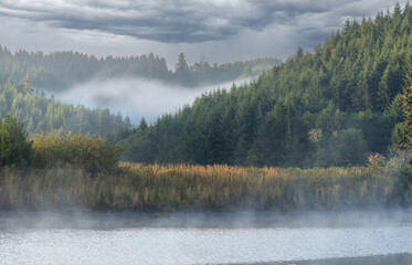 Wall Mural - Fog on a creek and in a forest with a dramatic cloudy sky.