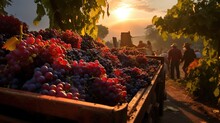 Generative AI, Fresh Grapes In A Truck, Grape Harvest At A Vineyard