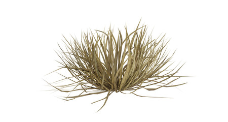 Sticker - Bunches of grass on a transparent background. 3D rendering.	
