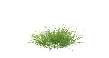 Wall Mural - bunches of grass on a transparent background. 3d rendering.