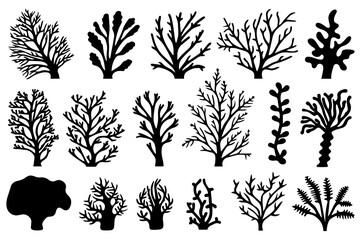 Hand drawn set of corals and seaweed silhouette isolated on white background. Vector icons and stamp illustration.