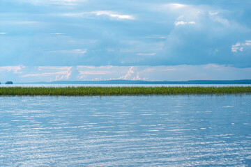 Wall Mural - natural landscape, vast shallow lake with reed banks