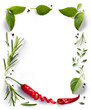 culinary frame / border PNG Food design element. red hot chile pepper, Spices and herbs with real transparent shadow on transparent background. Variety of spices and mediterranean herbs.