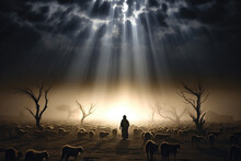 Shepherd And Flock Of Sheep