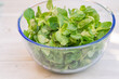 © johannes - Salat Kartoffel Gurke Kartoffel Gurkensalat Salat rezent