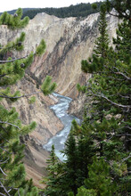 View Over Grand Canyon Of The Yellowstone To The Lower Yellowstone Falls