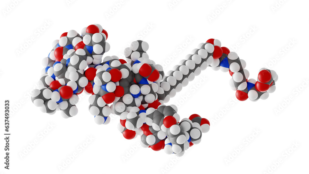 structure of tirzepatide tirzepatide molecule, mounjaro molecular structure, isolated 3d model van  der Waals Stock Illustration