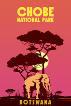 Travel Poster Chobe National Park Africa Botswana Savanna