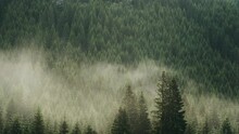 Beautiful Mountain Landscape In Carpathian Mountains. Fog Rises Over The Mountain Slopes