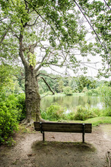 Sticker - bench in the park