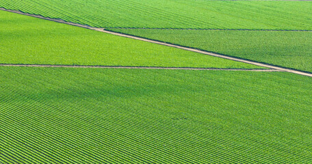 Wall Mural - Aerial background asset lush green farmland with fields broken into geometric shapes by dirt roads