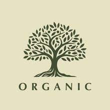 Organic Tree Logo Mark Design. Botanical Nature Icon. Natural Fruit Plant Emblem. Tree Of Life Symbol. Vector Illustration.