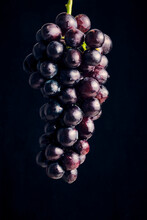 Hanging Bunch Grapes Black Background.