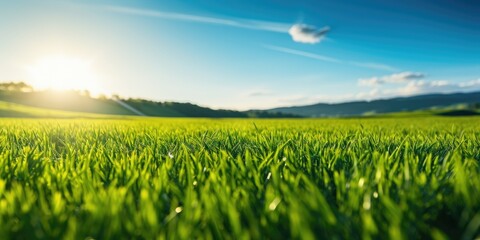 Beautiful panoramic natural landscape of a green field with grass against a blue sky with sun. Spring summer blurred background. Generative AI