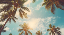 Blue Sky And Palm Trees View From Below, Vintage Style, Tropical Beach And Summer Background, Travel Concept
