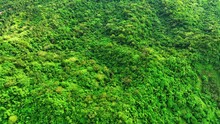 Aerial Tilt Up Shot Of Green Forest Near Taal Lake Against Cloudy Sky, Drone Flying Over Mountains - Tagaytay, Philippines