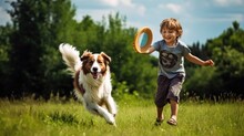 A Horizontal Format Of A Boy Playing Catch With His Dog In Leisure-themed, Photorealistic Illustrations In JPG.  Generative Ai