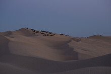 Group Of Vehicles Gathering At The Top Of Competition Hill In The Glamis Section Of The Algodones Sand Dunes