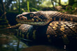 A Anaconda portrait, wildlife photography