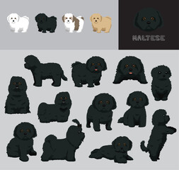 Wall Mural - Dog Maltese Black Hair Cartoon Vector Illustration Color Variation Set
