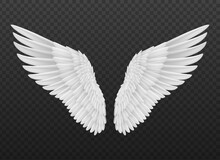 Realistic Isolated Angel Wings With White Feathers. Isolated 3d Vector Graceful And Ethereal Symbol Of Divine Protection And Spiritual Guidance, Evoke A Sense Of Heavenly Beauty And Serenity