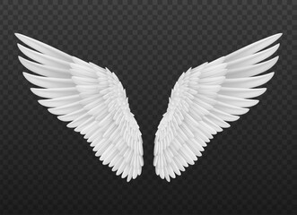 realistic isolated angel wings with white feathers. isolated 3d vector graceful and ethereal symbol 